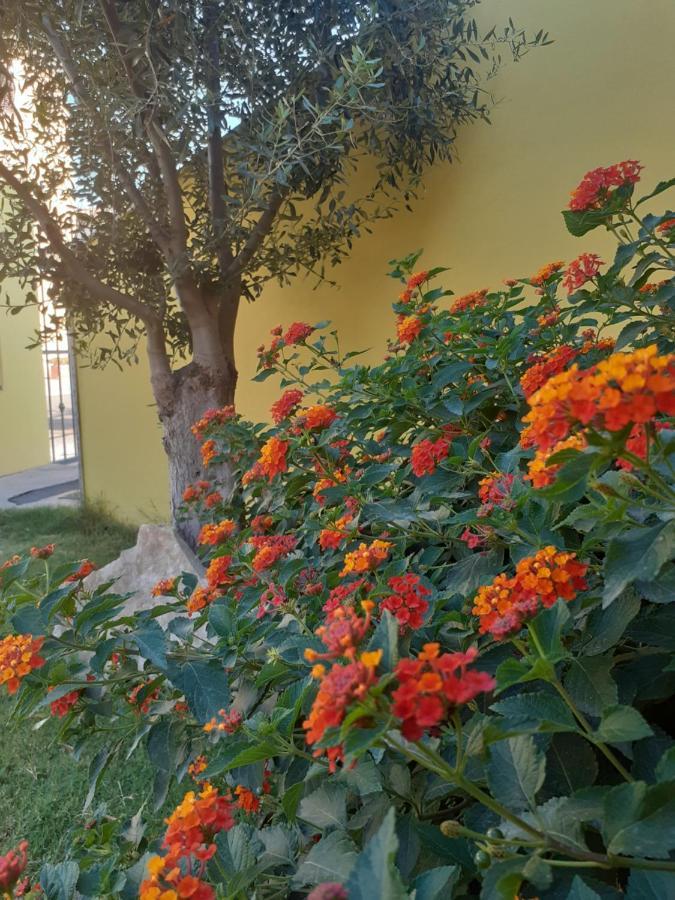Appartamento A Pula In Zona Residenziale Exteriör bild